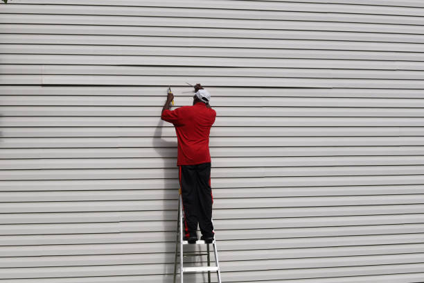 Affordable Siding Repair and Maintenance Services in Kimberly, WI